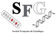 sfg